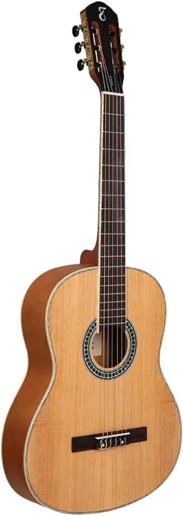 violao tagima